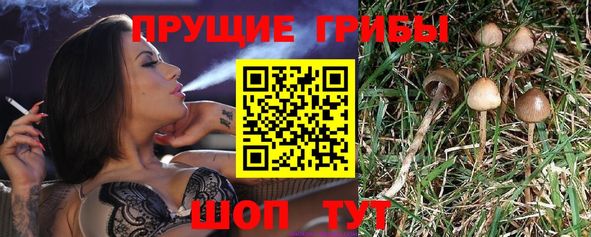 Псилоцибиновые грибы ЛСД  цена наркотик  Альметьевск  Вход с VPN 